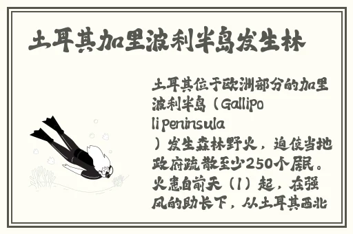 春天韩国电影完整免费观看